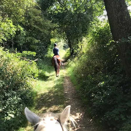 Bed & Breakfast Ferme De Geneve